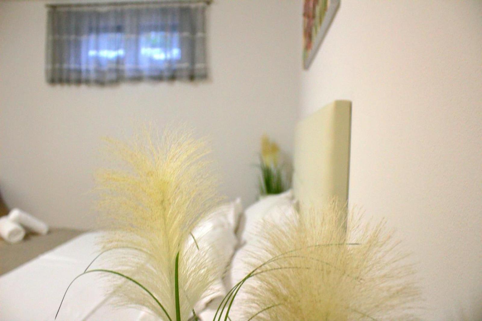 Apartment Danijela ザダル エクステリア 写真