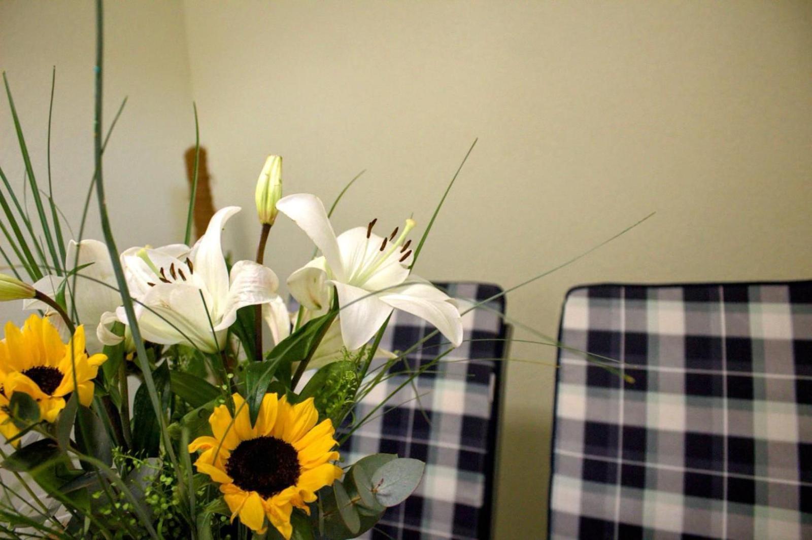 Apartment Danijela ザダル エクステリア 写真