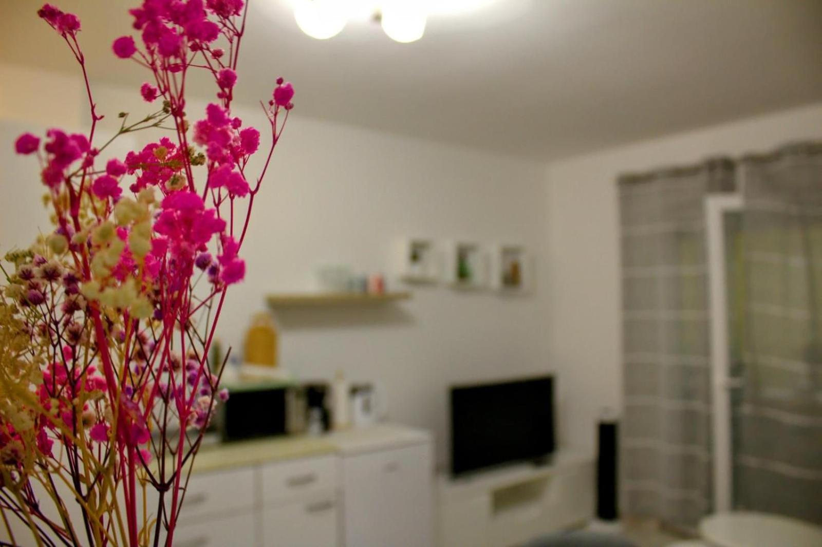 Apartment Danijela ザダル エクステリア 写真